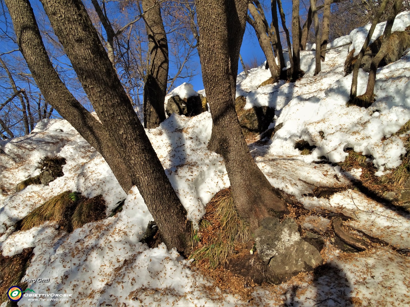 50 In decisa salita per il Monte Zucco.JPG